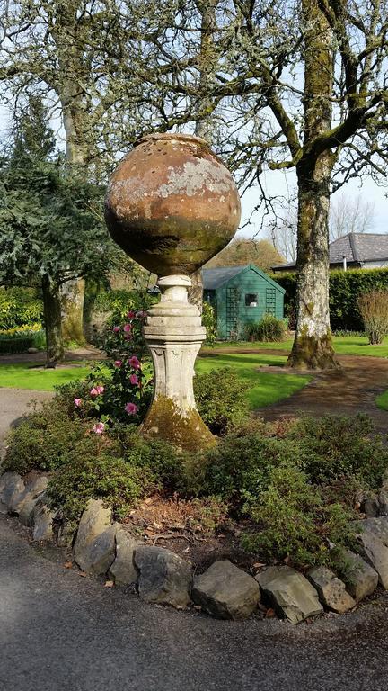 No.5 Bed & Breakfast Kilcullen Exterior foto